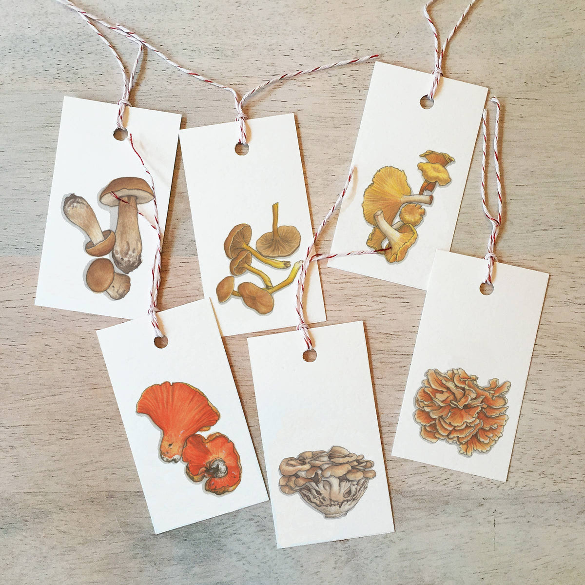 Yeesan Loh - Mushrooms / Gift Tags Wild