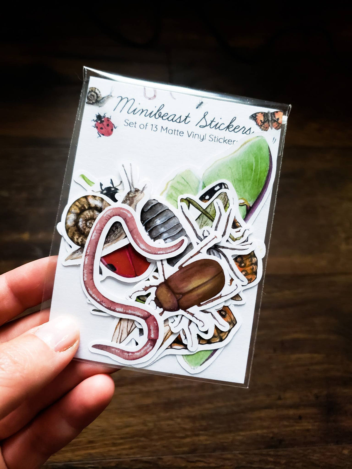Stephanie Hathaway Designs - Minibeast Sticker Pack, Set of 13 Matte Vinyl Stickers