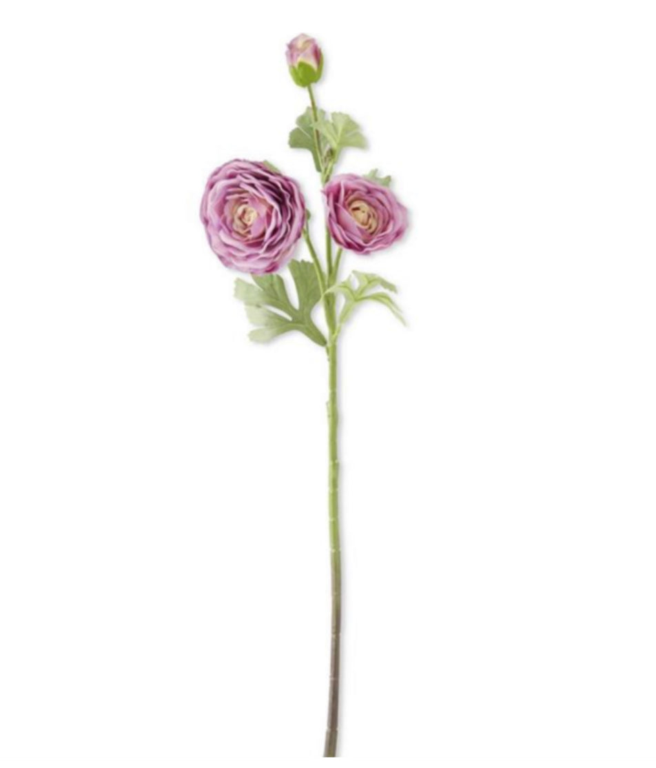 25” Dark Purple Real Touch Triple Bloom Ranunculus
