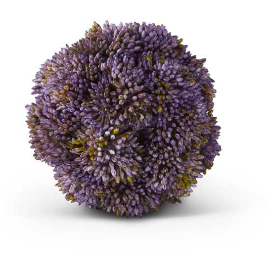 4 Inch light Purple Sedum Ball