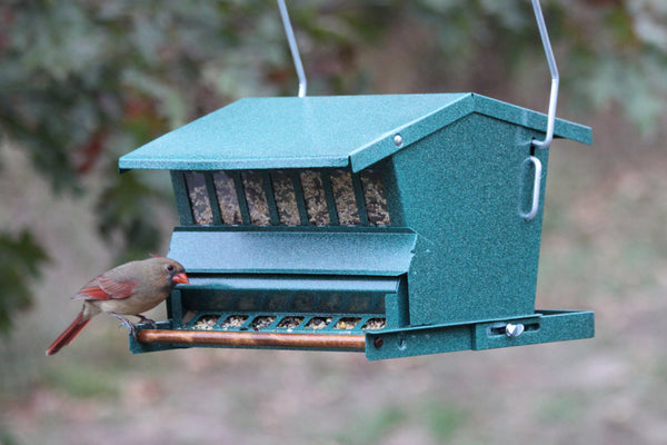 Absolute Single-Sided Squirrel Resistant Feeder
