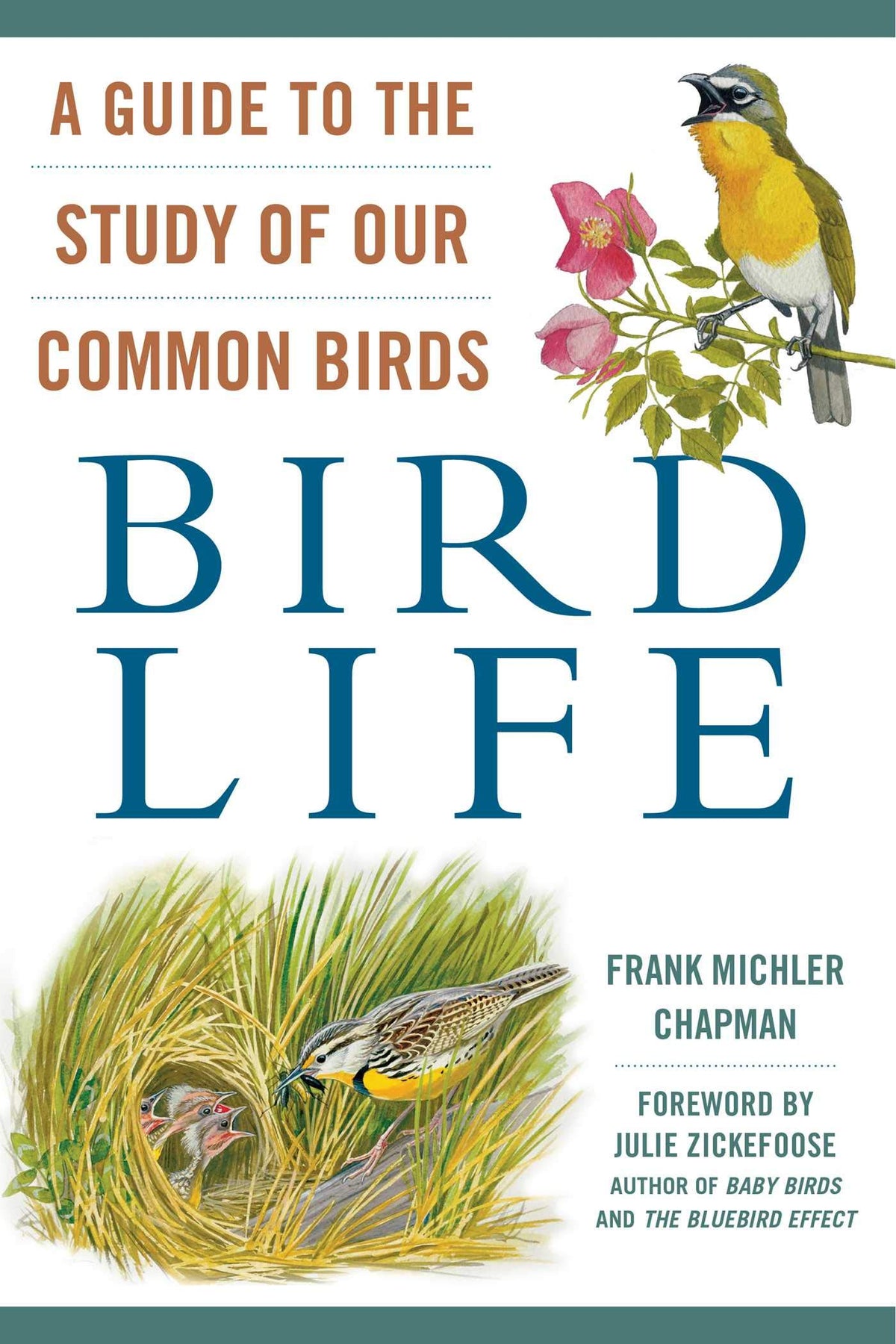 The Guide To The Study Of Our Common Birds- Bird Life
