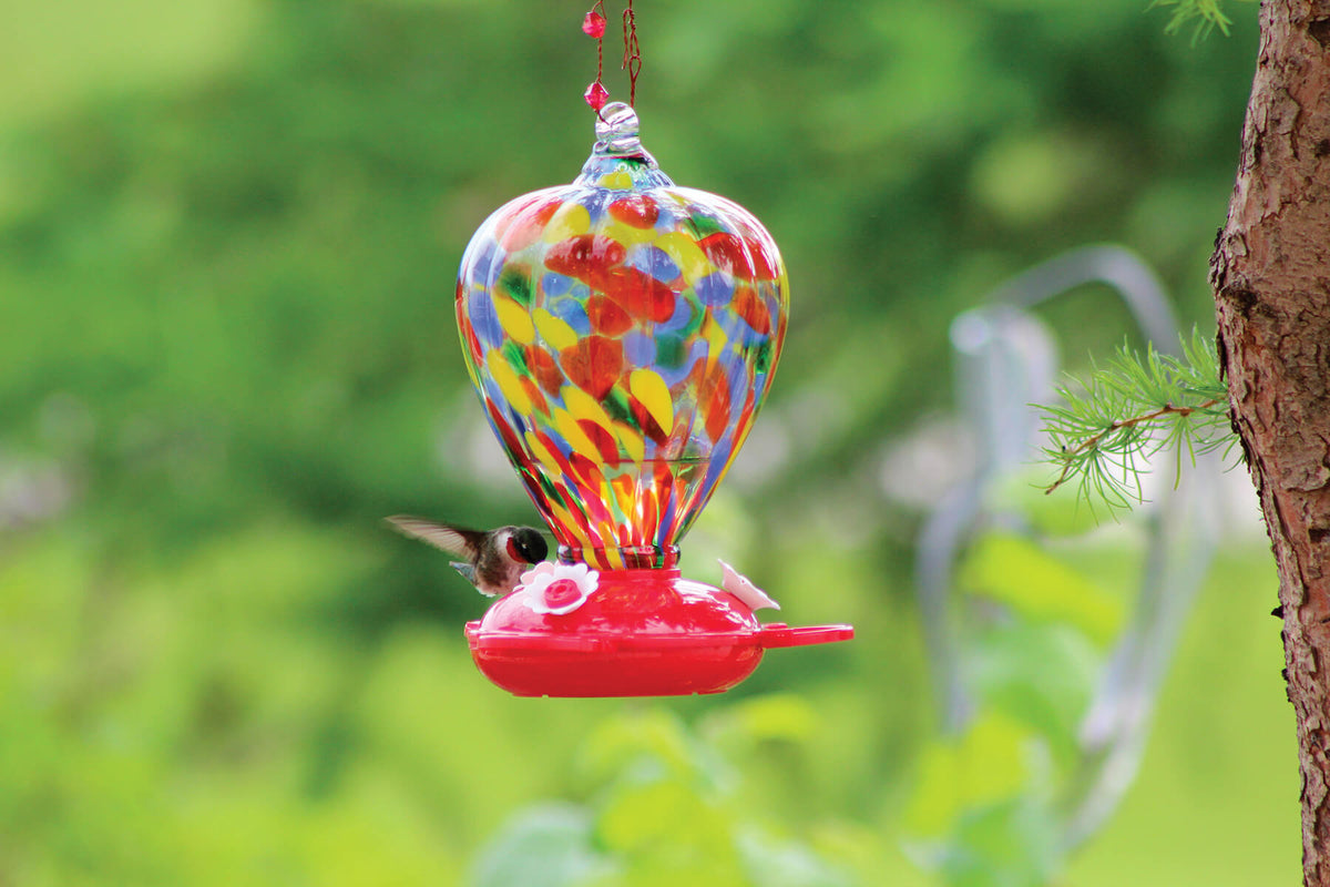 Pinebush Art Glass Hummingbird Feeder Colour Balloon Design