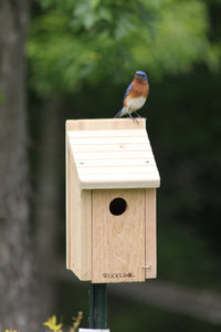 Woodlink Bluebird House