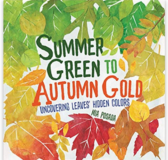 Summer Green to Autumn Gold