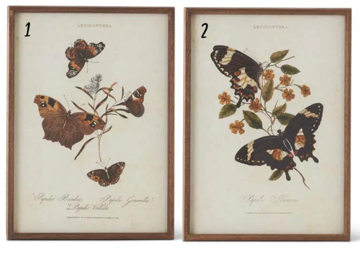 17.5” Butterfly Print with Brown Wood Frame