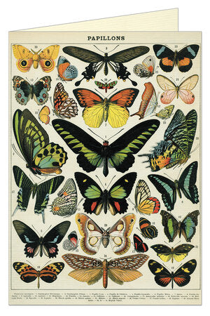 Cavallini Greeting Card- Butterflies