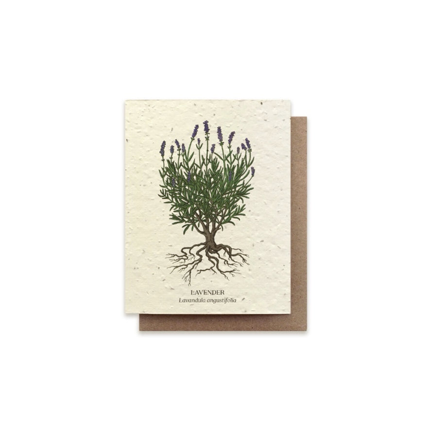 The Bower Studio Lavender Card