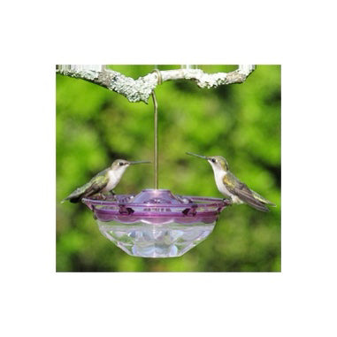 Humm-Blossom Hummingbird Feeder - Plum