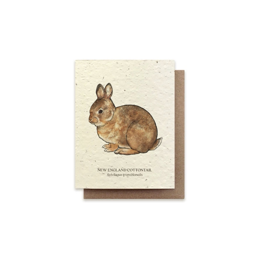 The Bower Studio Cottontail Rabbit Card
