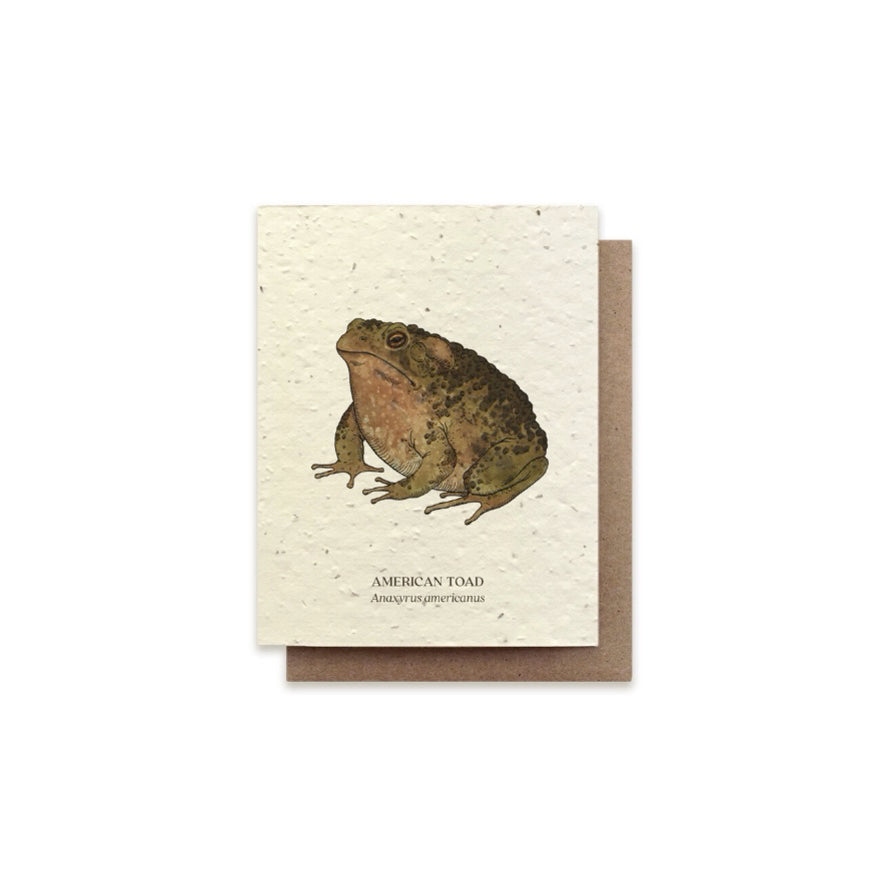 The Bower Studio Toad Card