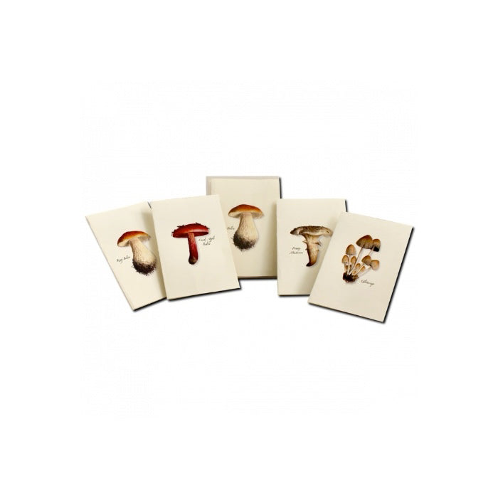 Boxed Notecards: Mushroom Assortment