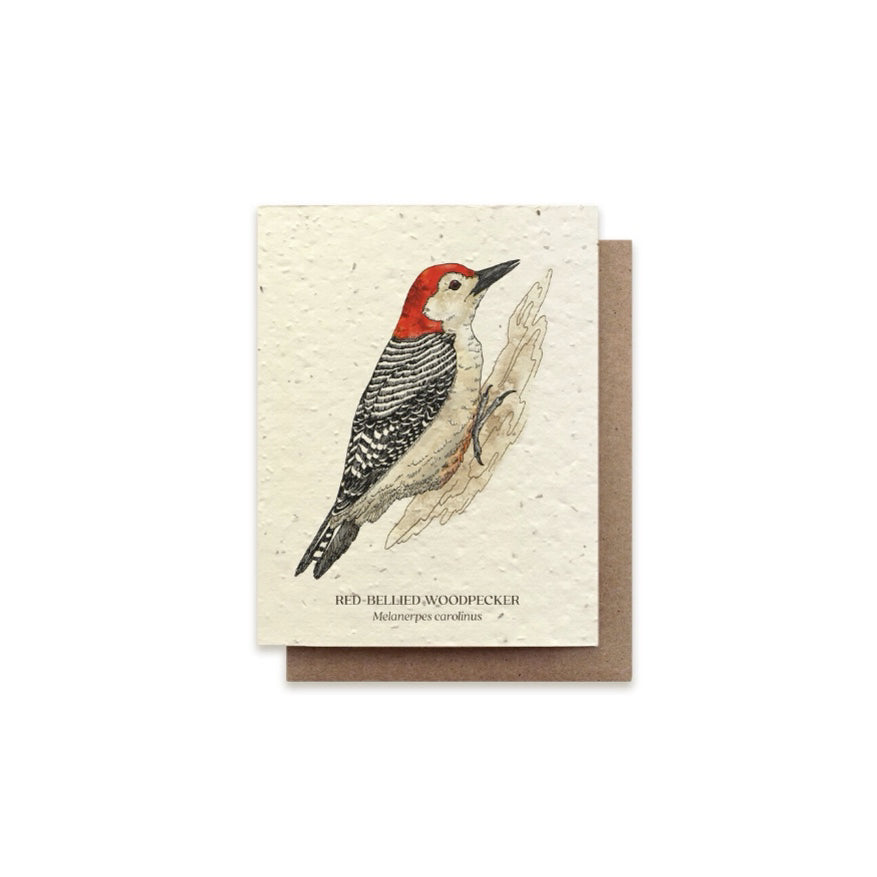 The Bower Studio Red-bellied Woodpecker Card