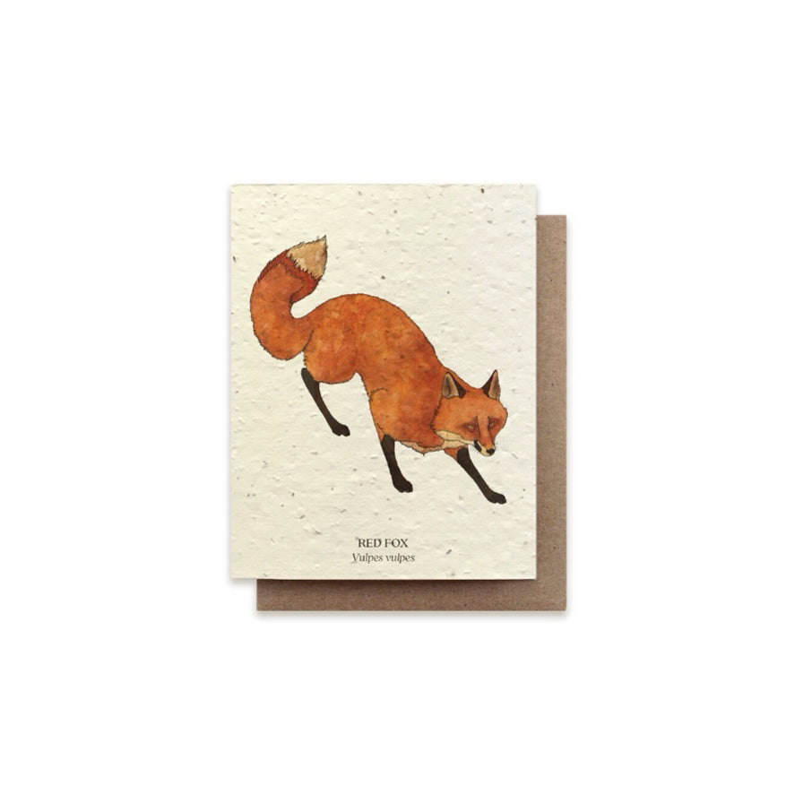 The Bower Studio Fox Card