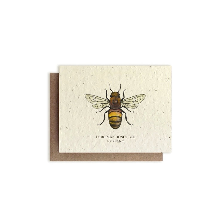 The Bower Studio Honey Bee Card