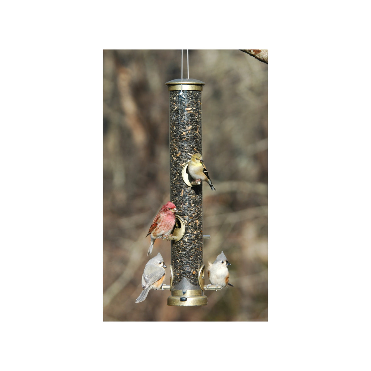 Large Brass Seed Tube – Featherfields