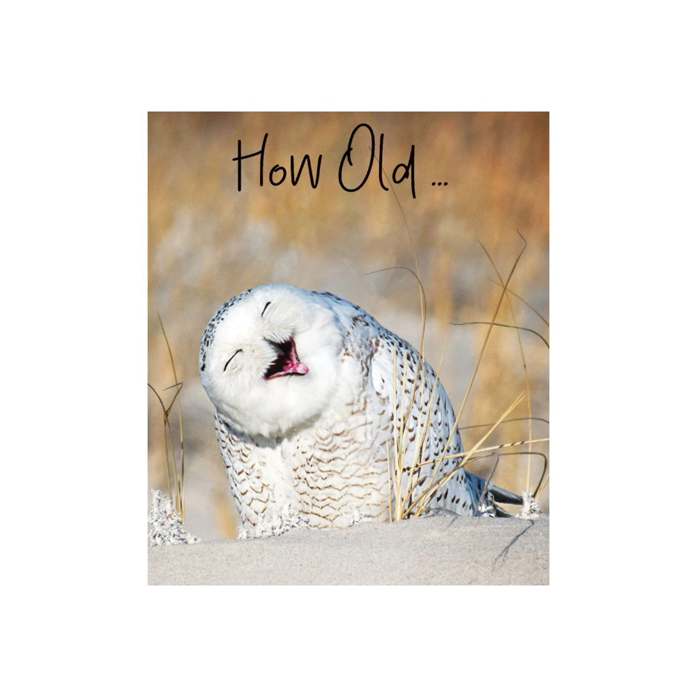 Laughing Owl Birthday Card