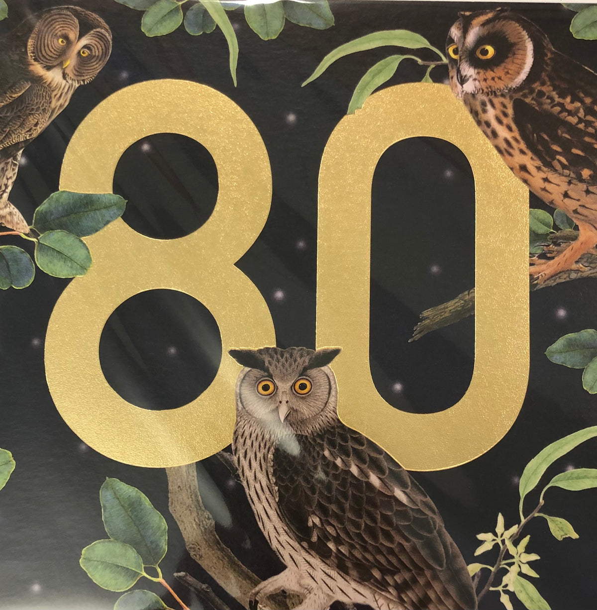 Owls 80 Card
