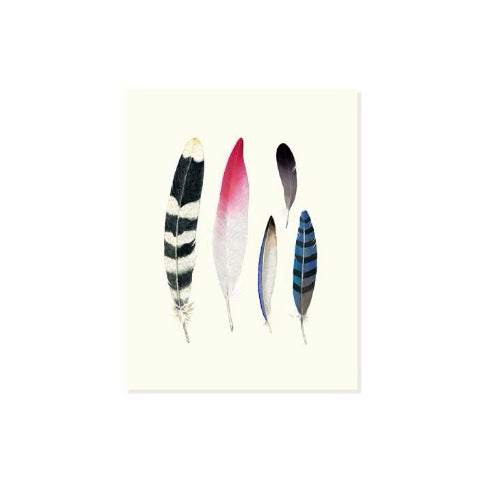 Felix Doolittle Occasion Card- Feather Collection