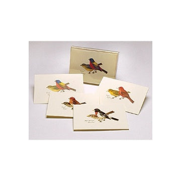 Boxed Notecards: Peterson Bird Assortment II