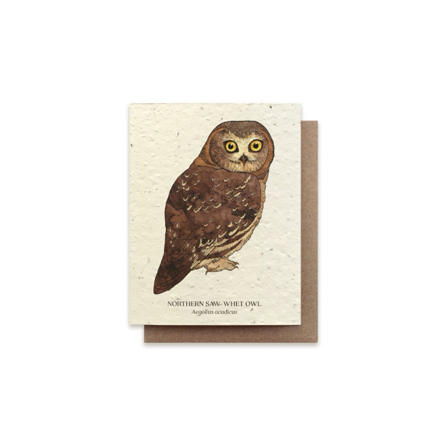 The Bower Studio Northern Plantable Saw-Whet Owl Card