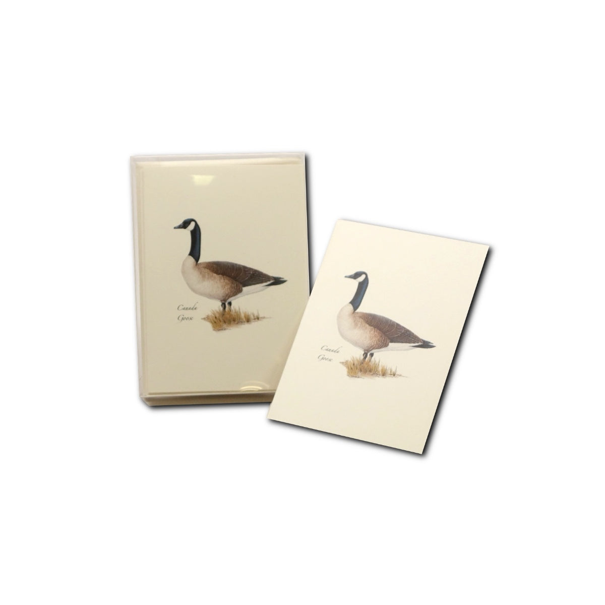 Boxed Notecards: Canada Goose