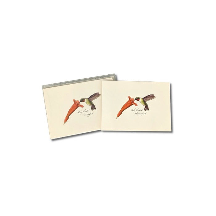 Boxed Notecards: Hummingbird & Flower
