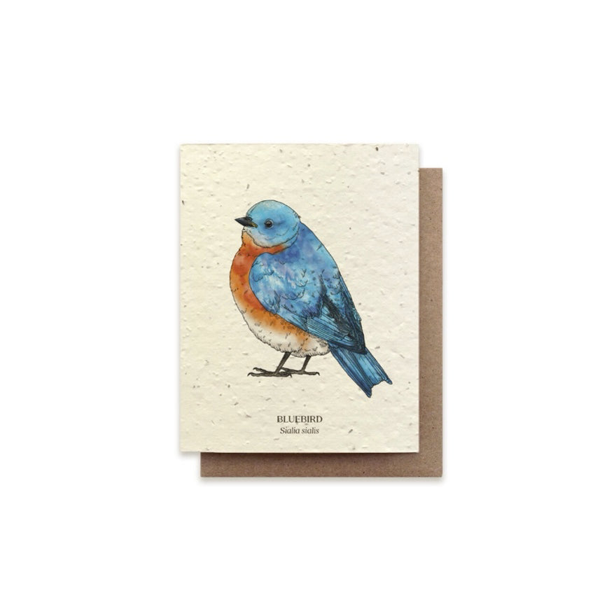 The Bower Studio Bluebird Card