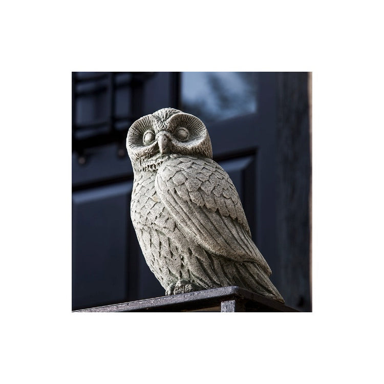 Campania Night Owl