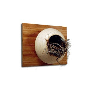 Meadow Nest Box