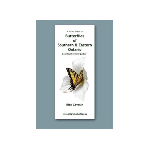 Butterflies of Southern & Eastern Ontario Guide