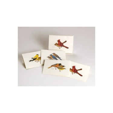 Boxed Notecards: Peterson Bird Assortment