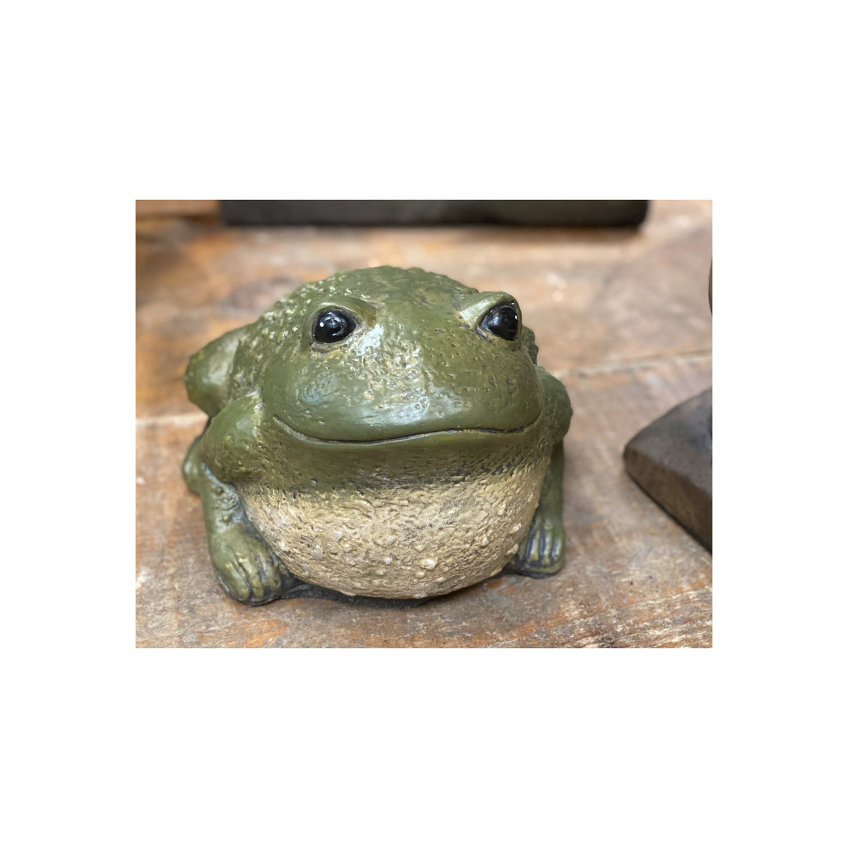 Concrete Green Fat Frog