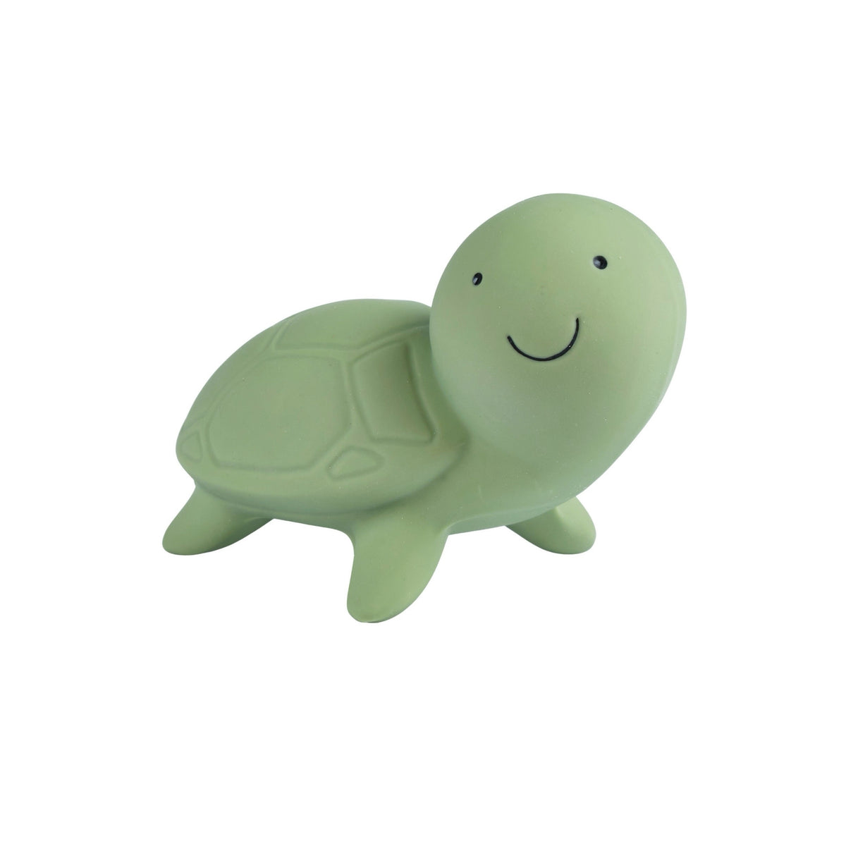 Turtle Organic Natural Rubber Teether, Rattle & Bath Toy