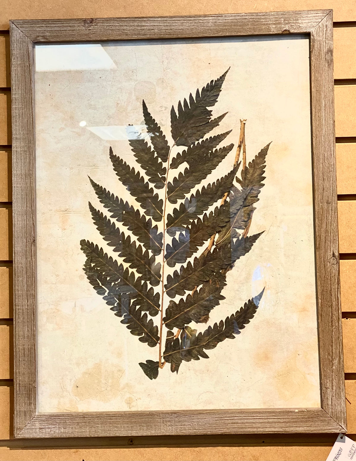 Botanical Prints in Natural Wood Frame