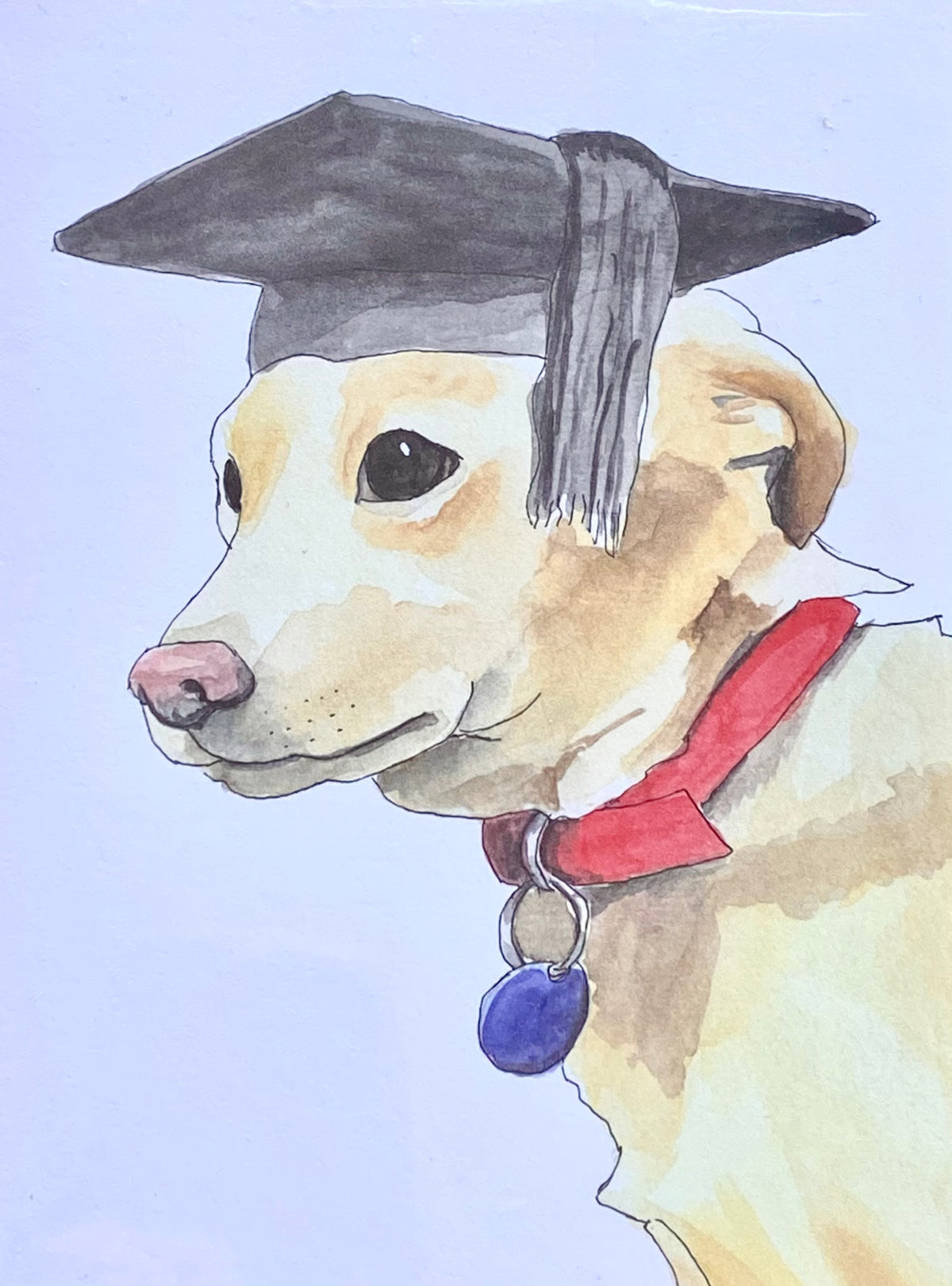 Graduation Card- Dog Wearing a Cap