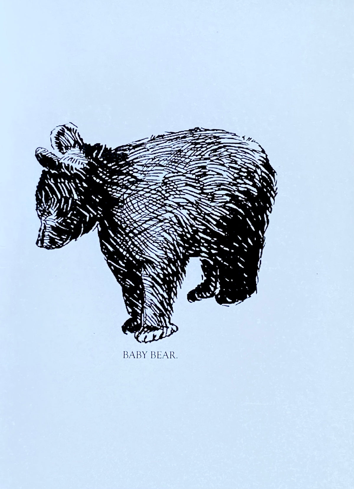 Father's Day Card- Baby Bear