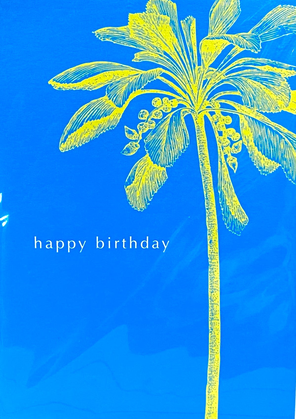 Birthday Card: Palm Tree