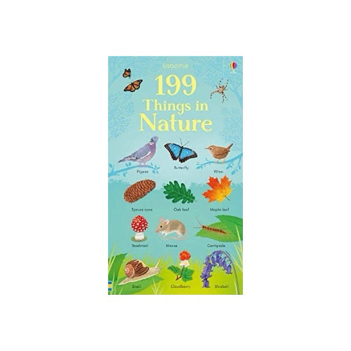 Usborne 199 Things in Nature
