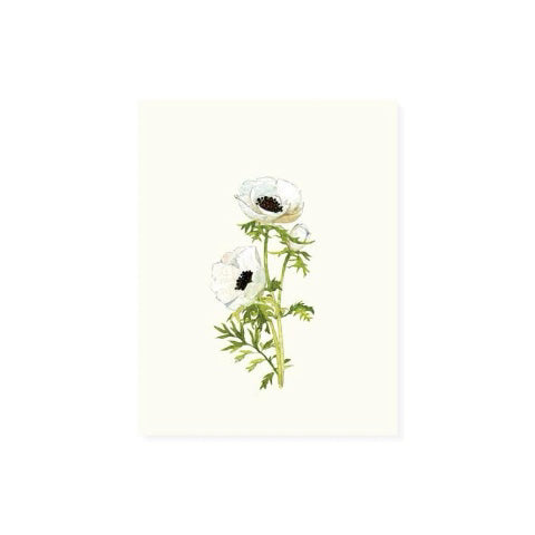 Felix Doolittle Occasion Card- Anemone Blossom