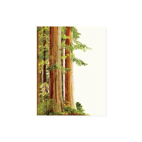 Felix Doolittle Occasion Card- Redwoods