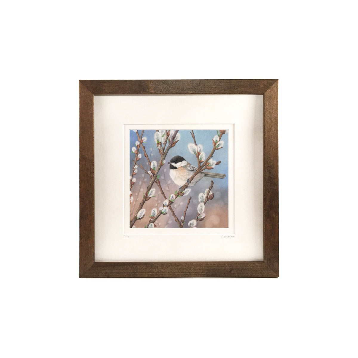 Cori Lee Marvin Framed Print- Waiting in the Willows