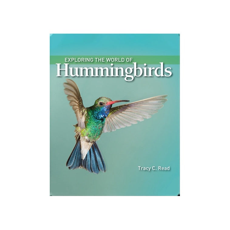 Exploring The Worlds Of Hummingbirds