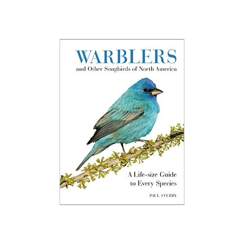 Warblers & Other Songbirds of North America