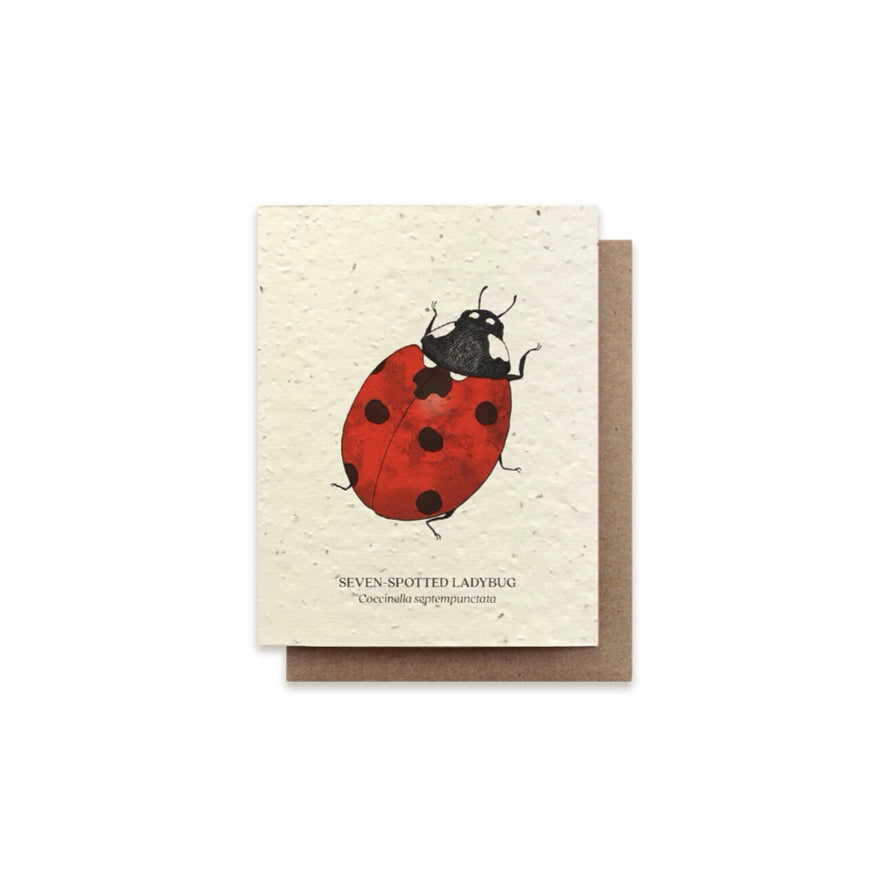 The Bower Studio Seven-Spotted Ladybug Card