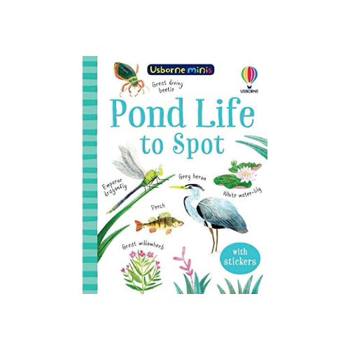 Usborne Mini Pond Life to Spot
