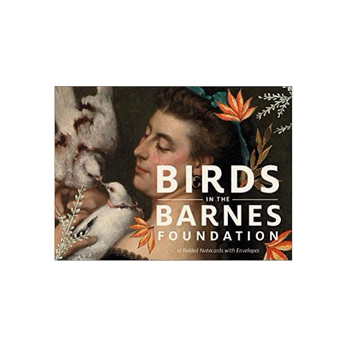 Birds in the Barnes Notecards
