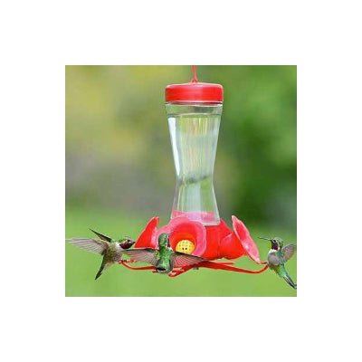 Perky Pet Four Flower Glass Hummingbird Feeder