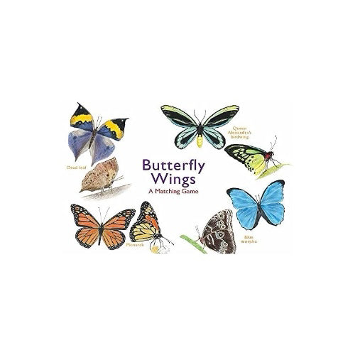 Butterfly Wings- A Matching Game