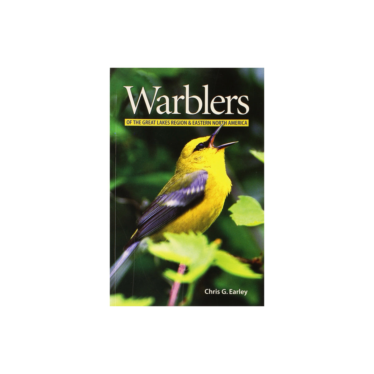 Warblers of The Great Lakes Region